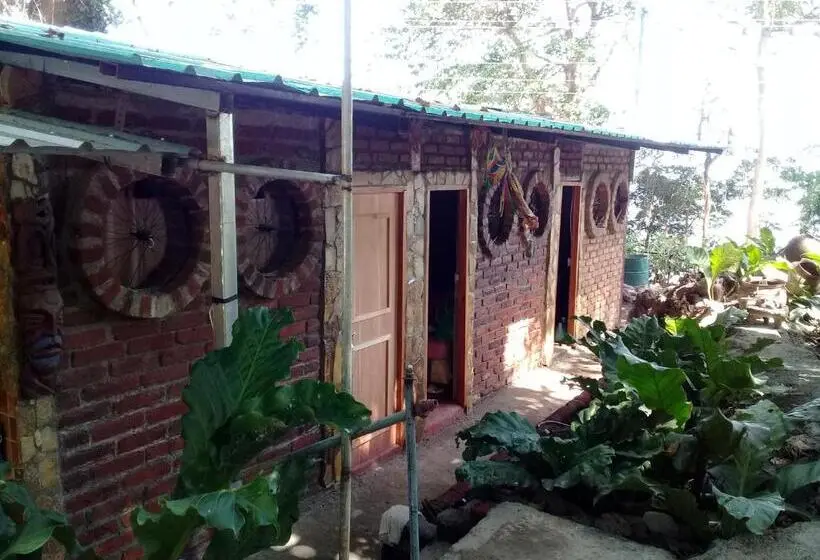 スタンダードルーム, Hostal Eco Lodge La Chiponga