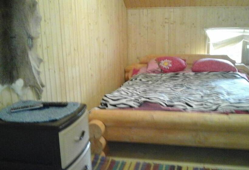 חדר קלאסי לארבעה, Farmstead Lisova