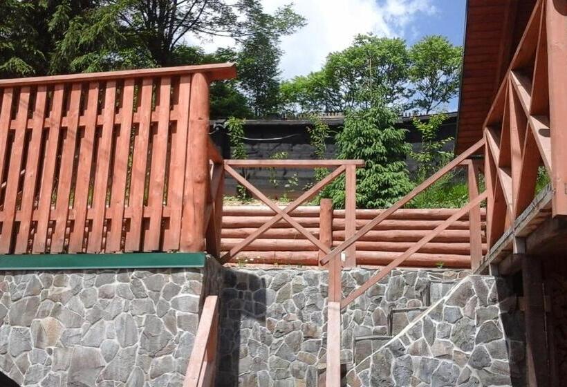 חדר קלאסי לארבעה, Farmstead Lisova