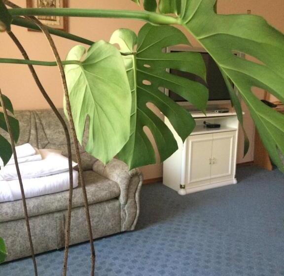 חדר סטודיו סטנדרד, Olimp Soup&bed