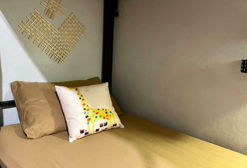 共用房间的床, Little Hostel