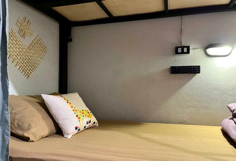 共用房间的床, Little Hostel