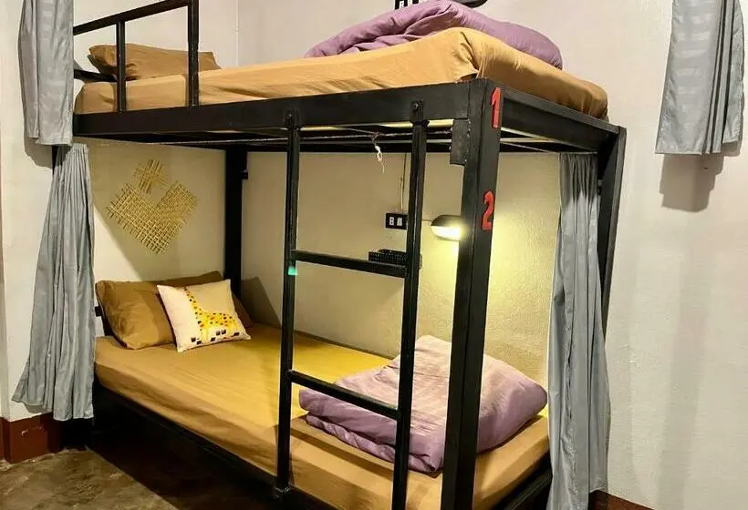 ルームシェアのワンベッド, Little Hostel