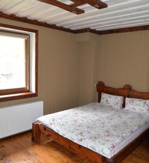 חדר אקונומי, Syni Potoky