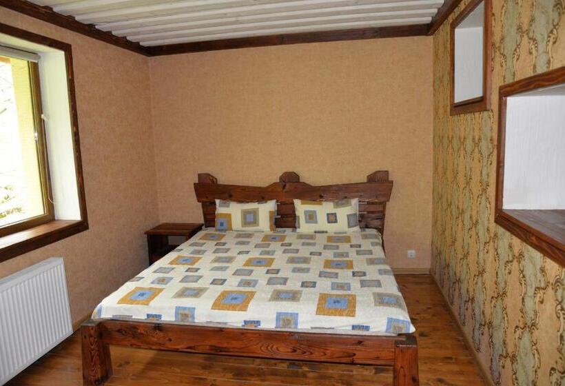 Семейный Номер, Syni Potoky