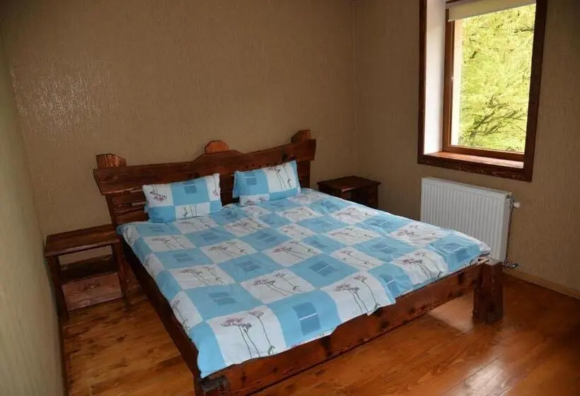 Standard-huone, Syni Potoky