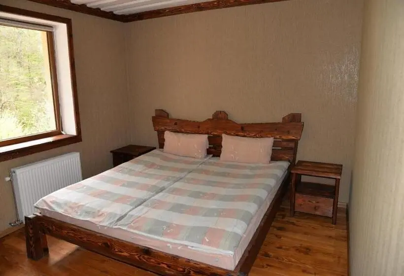 Standard-huone, Syni Potoky