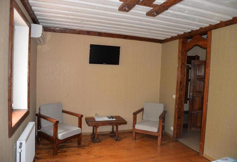 חדר סטנדרט, Syni Potoky