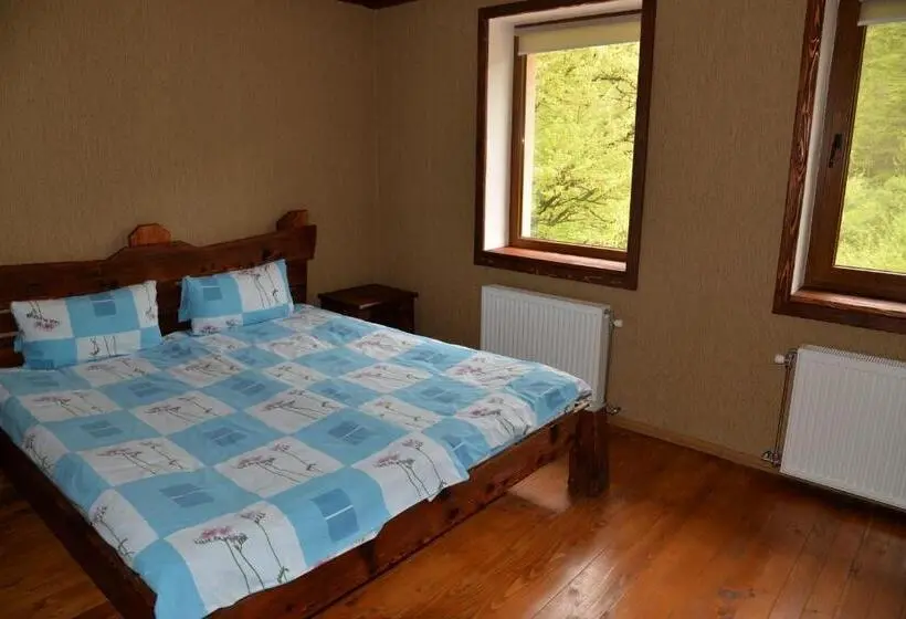 Standard-huone, Syni Potoky
