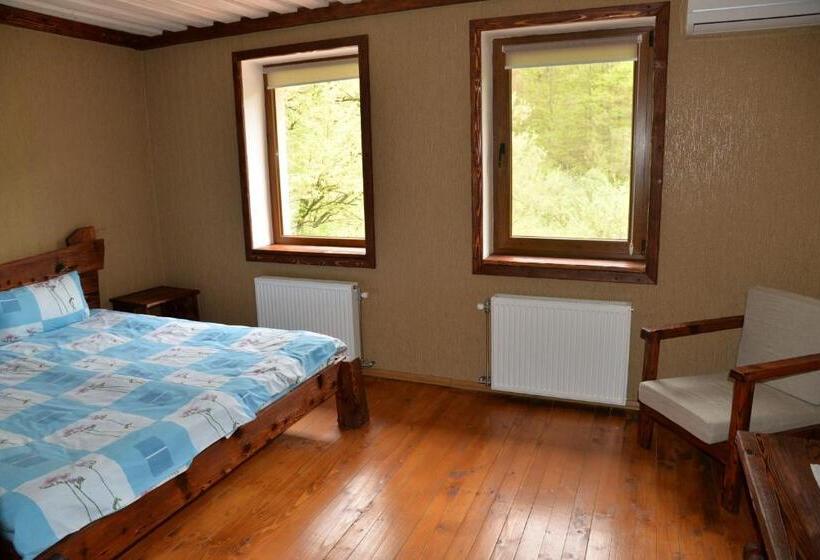 חדר סטנדרט, Syni Potoky