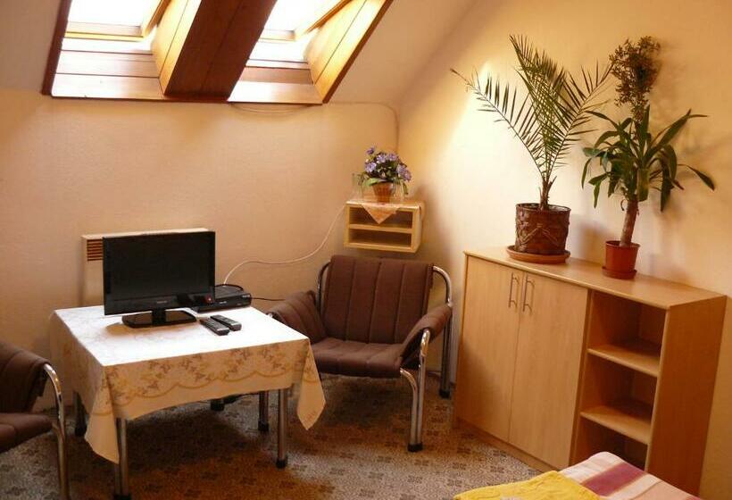 اتاق استاندارد, Country Saloon