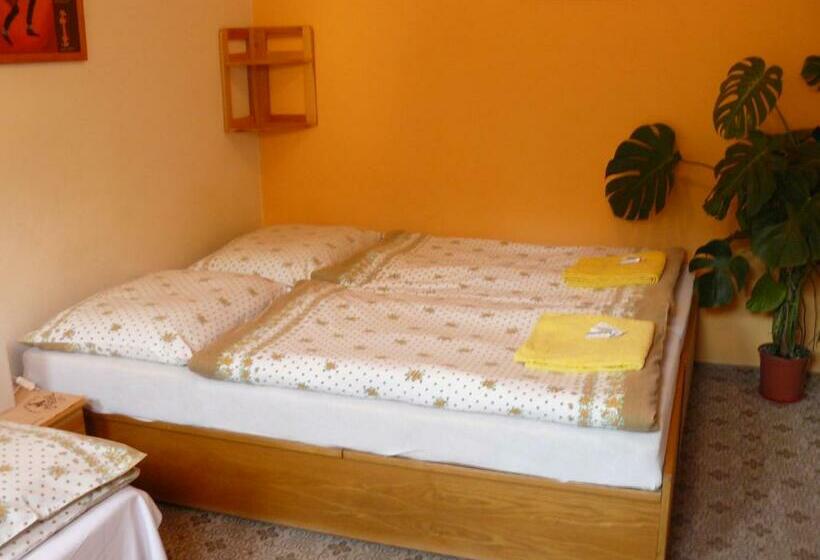 اتاق استاندارد سه نفره, Country Saloon