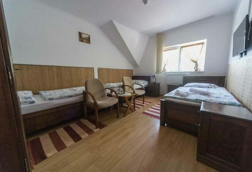 Номер Стандарт Трехместный, Tokaj Zlatá Putňa Restaurant & Pension