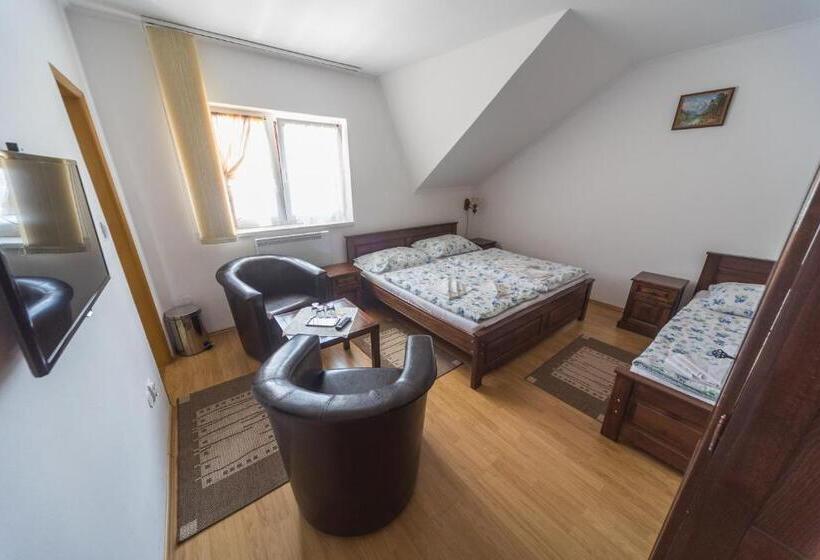 Номер Стандарт Трехместный, Tokaj Zlatá Putňa Restaurant & Pension