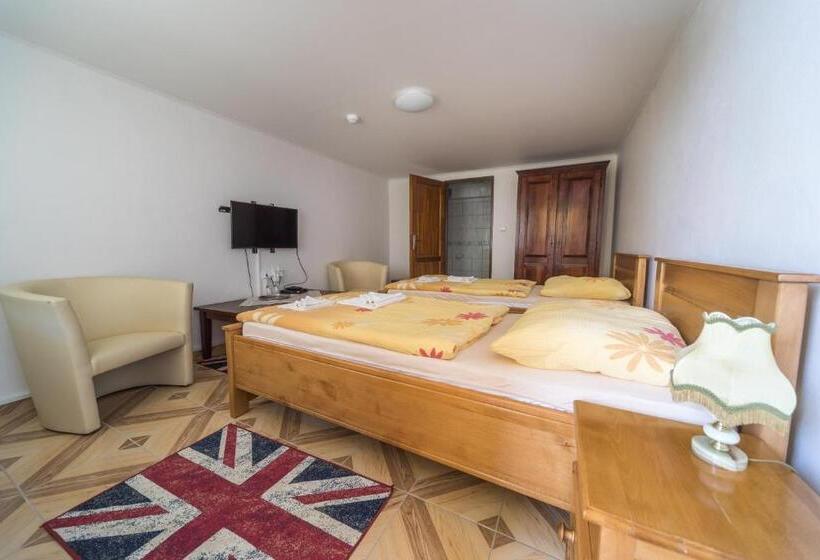 Номер Стандарт Адаптированный для Инвалидов, Tokaj Zlatá Putňa Restaurant & Pension