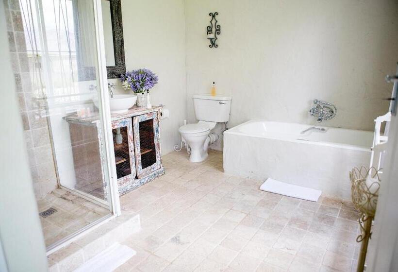 غرفة قياسية, Picardiplace