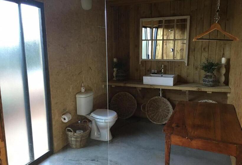 كابينة, Picardiplace