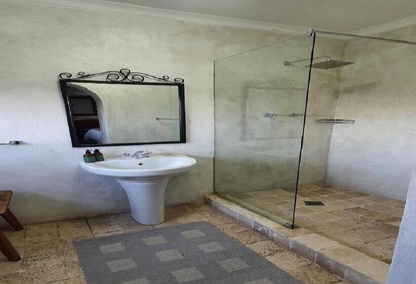 Quarto Estandar, Picardiplace