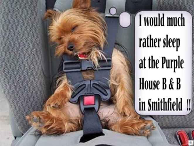 شاليه غرفة نوم واحدة, Purple House B&b Smithfield