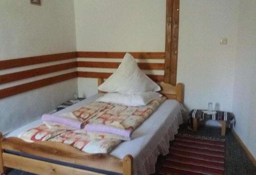 Апартаменты 2 Спальни, Pensiunea Letitia