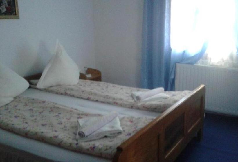 Апартаменты 2 Спальни, Pensiunea Letitia