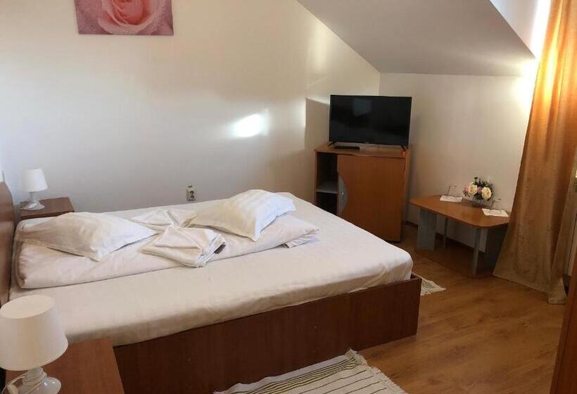 Номер Стандарт, Pensiunea Saseasca