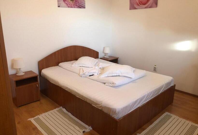 Номер Стандарт, Pensiunea Saseasca