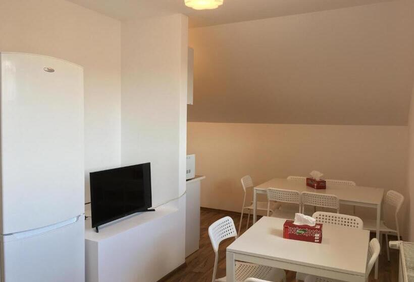 Четырехместный Номер Стандарт, Pensiunea Saseasca