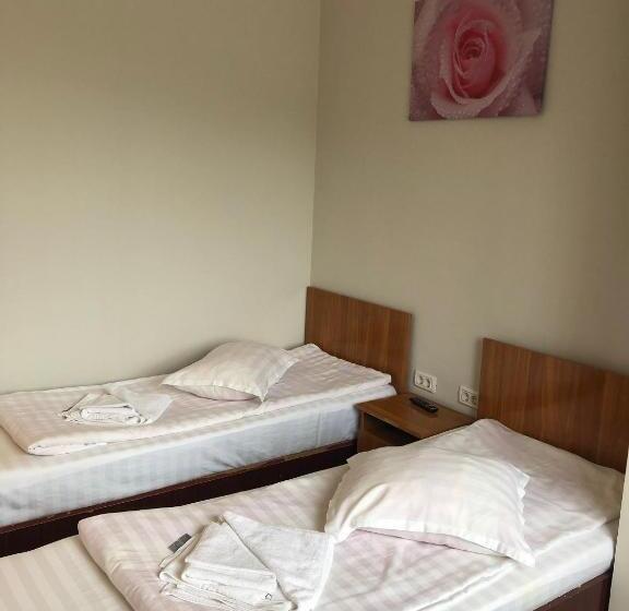 Четырехместный Номер Стандарт, Pensiunea Saseasca