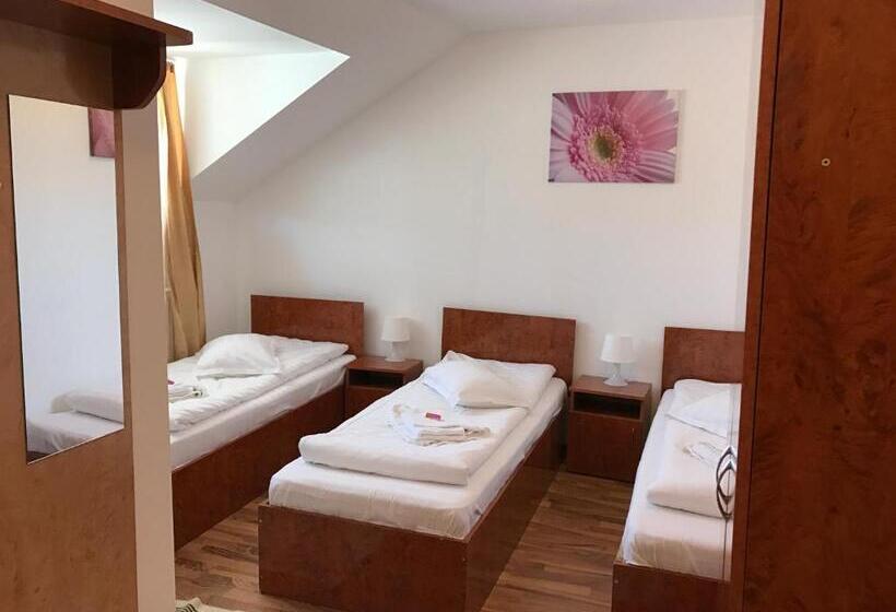Номер Стандарт Трехместный, Pensiunea Saseasca