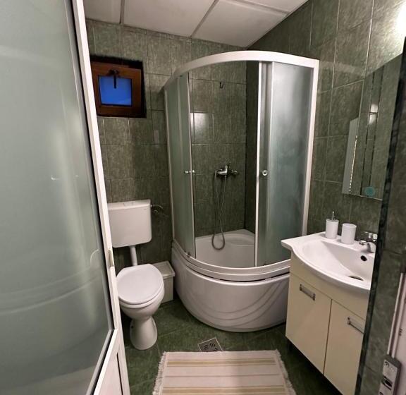 Номер Стандарт, Pensiunea Saseasca