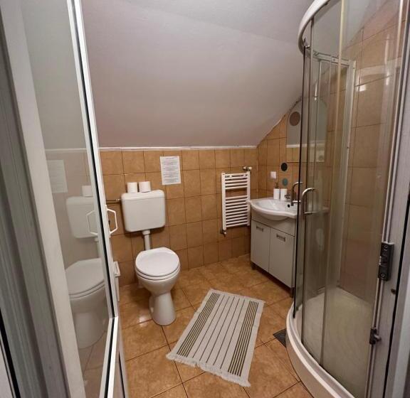 Люкс 2 Спальни, Pensiunea Saseasca