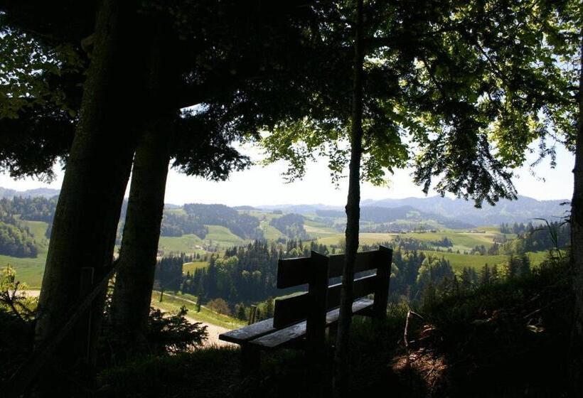 غرفة قياسية فردية, Gasthof Krone