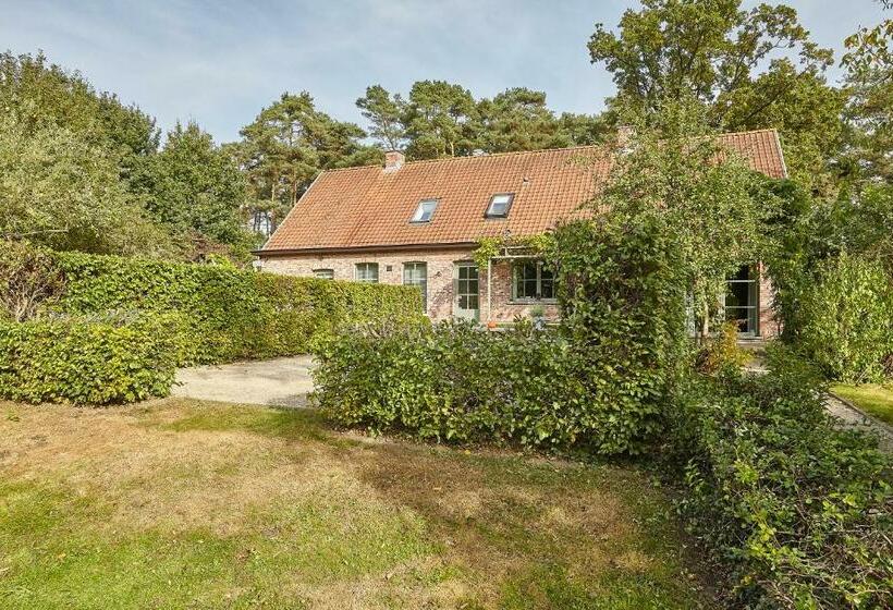 스탠다드 싱글 룸, B&b Zinnen En Minnen