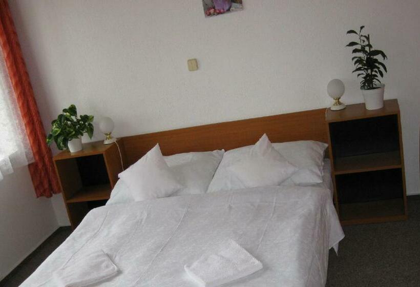 스탠다드 룸, Amos