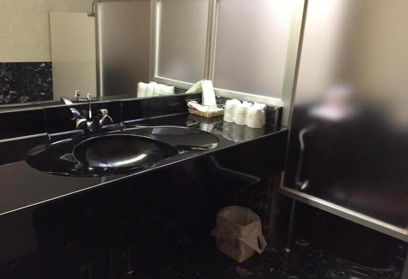 Семейный Номер, Civic Inn Sayama