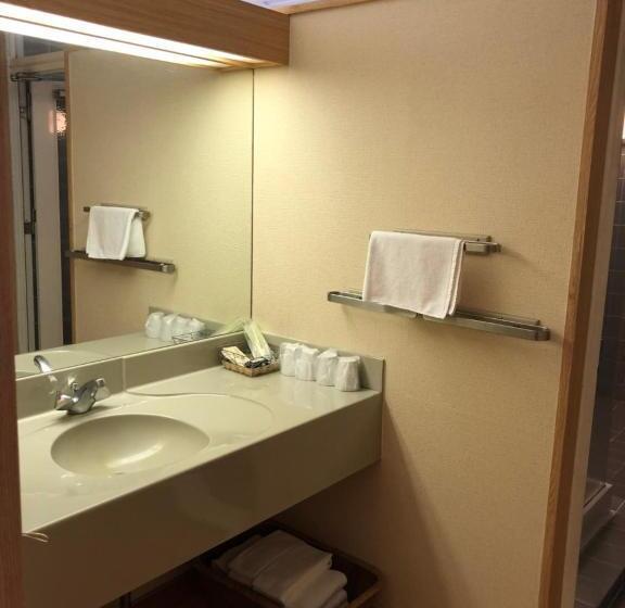 디럭스 패밀리 룸, Civic Inn Sayama