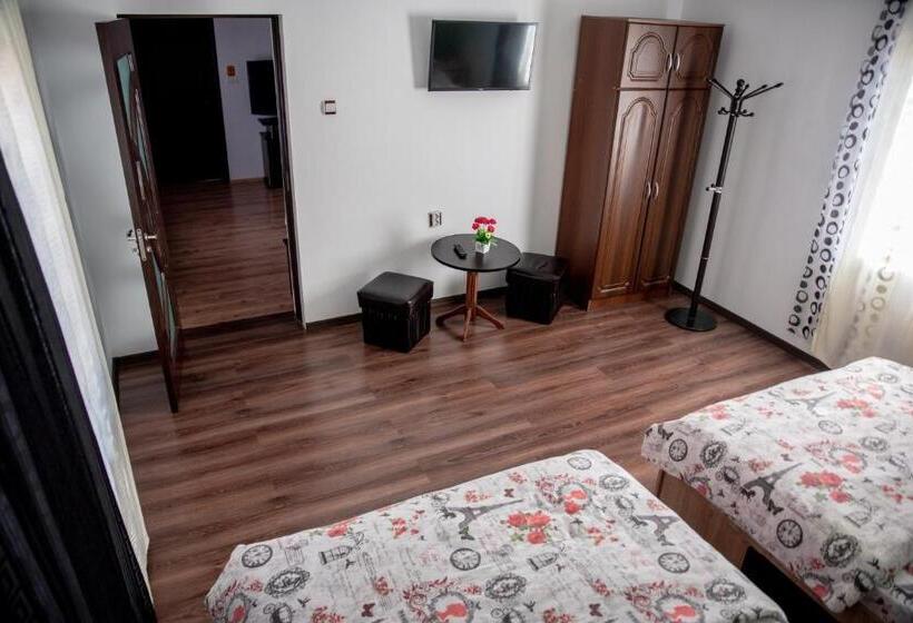 Апартаменты 1 Спальня с Видом, Casa Robi