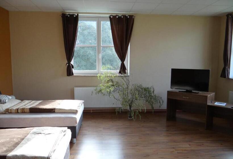 침실 1개 베이직 아피트, Penzion 324