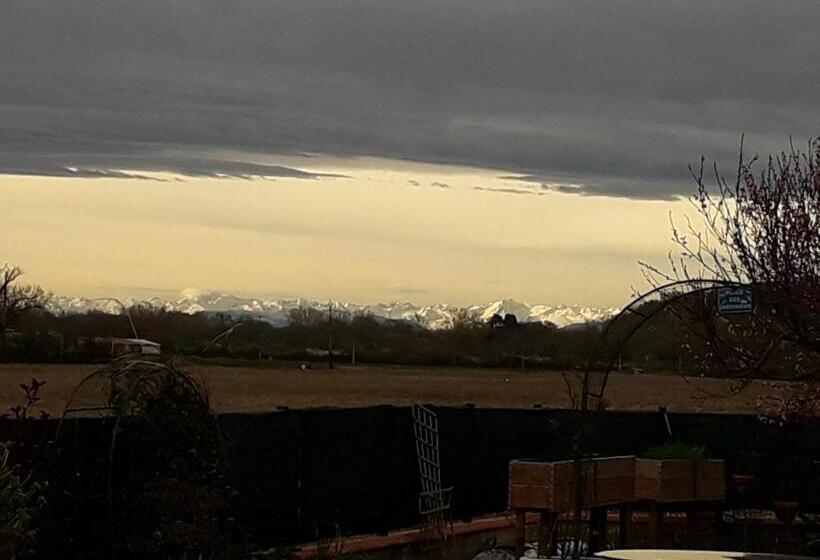 Номер Стандарт, La Nouste Maisoun