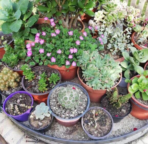 スタンダードルーム, Agriturismo San Giovanni Ad Insulam