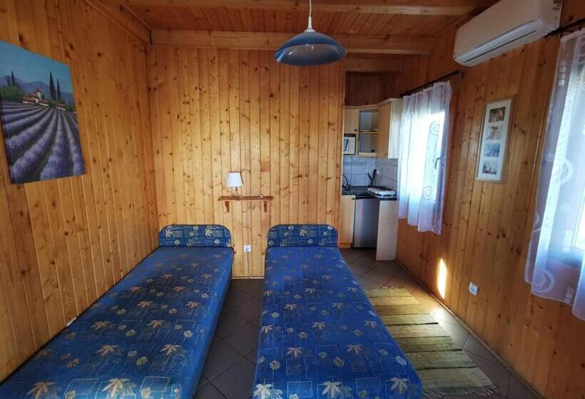 テラス付きスタンダードワンルーム, Sárberki Horgásztó