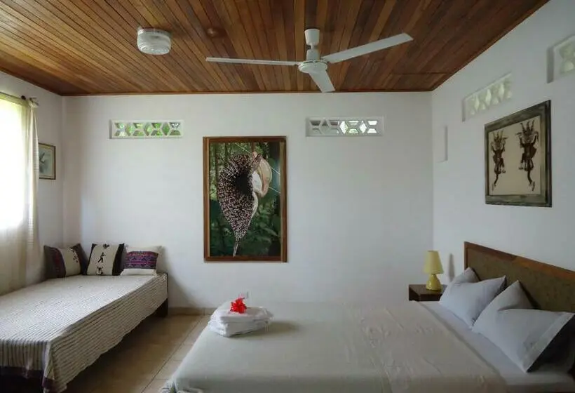 デラックスルーム, Quinta Don Fernando