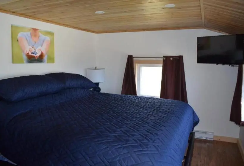 キングサイズベッドのデラックススイート, Bird Island B&b Bed And Bubble