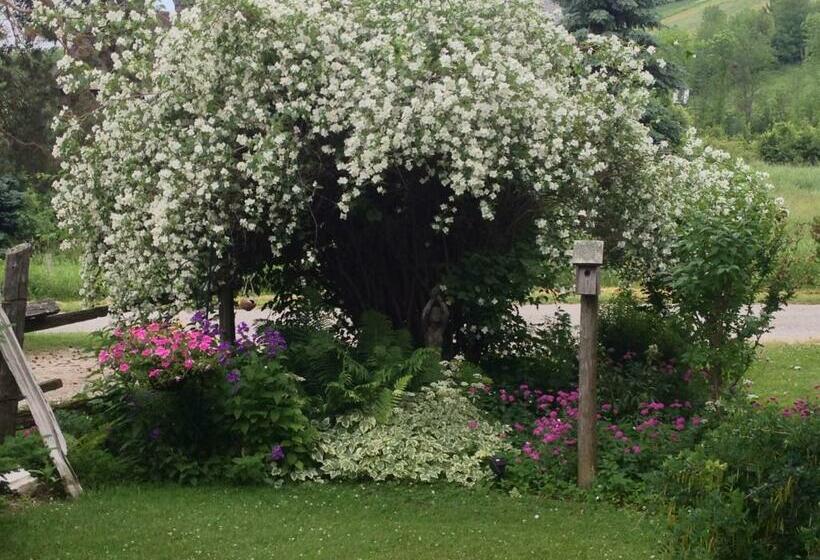 Standard Szoba Megosztott Fürdővel, Foxingham Farm Bed & Breakfast