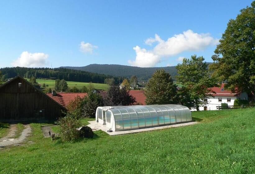 Апартаменты 1 Спальня с Балконом, Gasthof Pension Zur Post