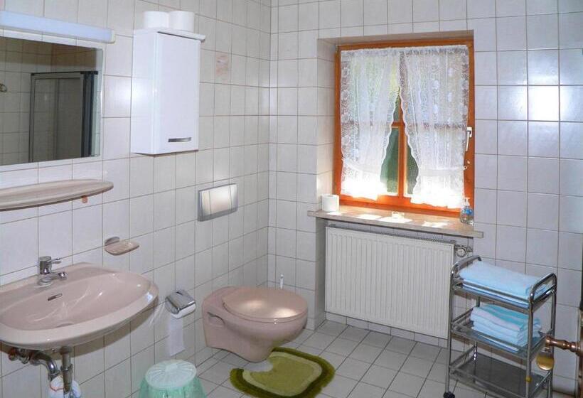 Апартаменты 1 Спальня с Балконом, Gasthof Pension Zur Post