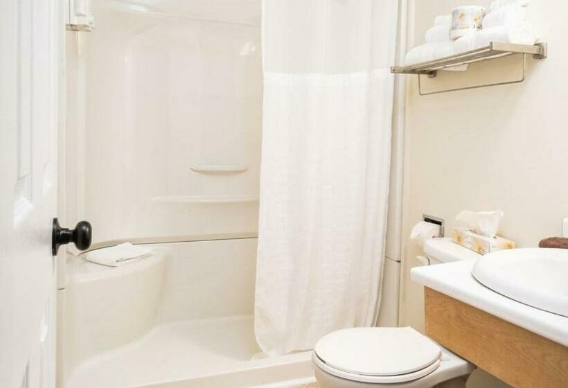 غرفه قياسيه سريرين مزدوجين, Hebridean Motel