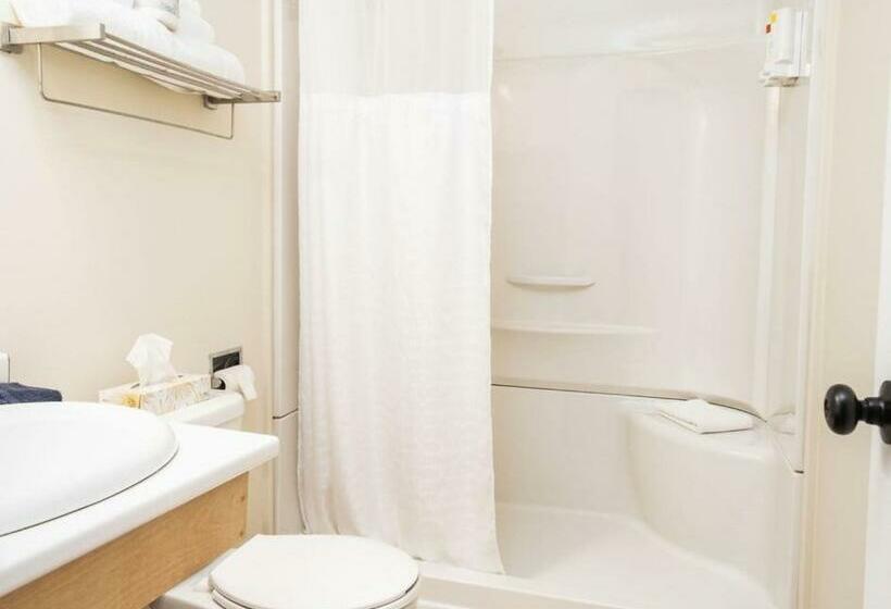 غرفه قياسيه سريرين مزدوجين, Hebridean Motel