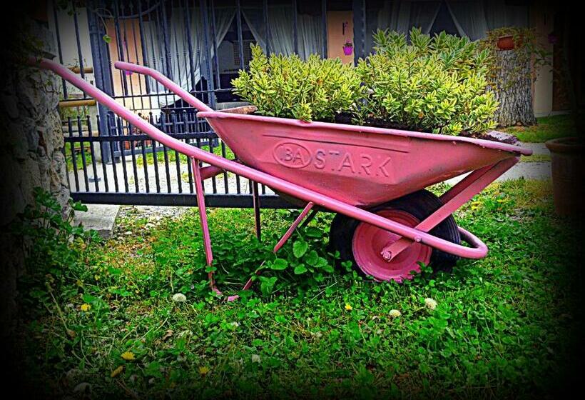 דירת חדר, Agriturismo Borgovecchio